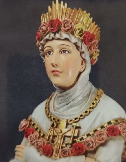 Magnes  MB Saletyńska